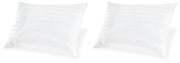 Zephyr 2.0 Cotton Pillow (Set of 2)